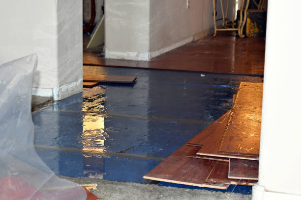 Professional Basement Flood Cleanup technician working in Saint Johns, AZ